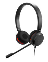 Jabra Evolve 20 Special Edition MS Stereo USB C/A